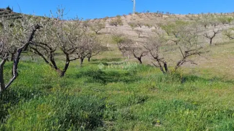 Terreno en Gójar