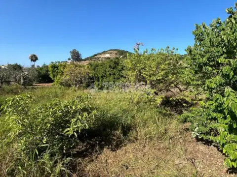 Terreno en Casco Urbano