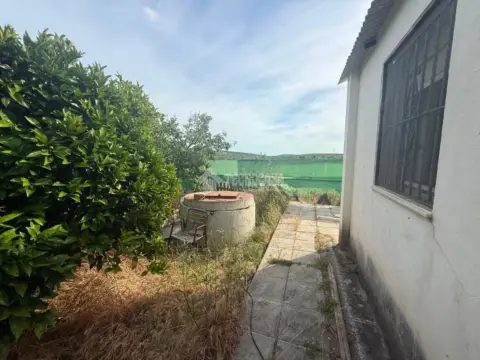 Casa rústica en calle Urb. los Olivares C- Pastora 5