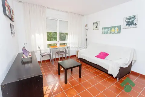 Piso en Urbanización Camarotes