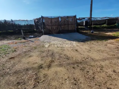 Terreno en Marchena