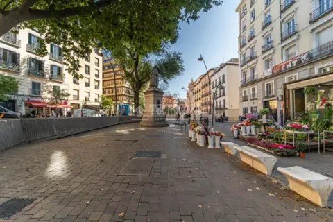 Apartment in Embajadores-Lavapiés