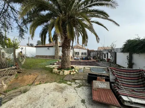 Casa unifamiliar en Paseo de los Olivos