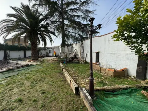 Casa unifamiliar en Paseo de los Olivos