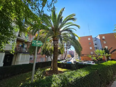 Piso en Casco Antiguo