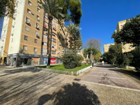 Piso en Pino Montano