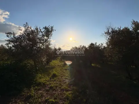 Terreno en Dúrcal