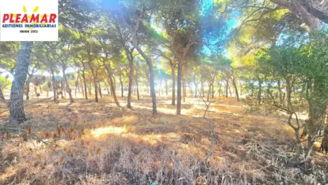 Terreno en Pinar de La Villa
