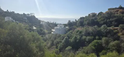Terreno en calle de los Algarrobos