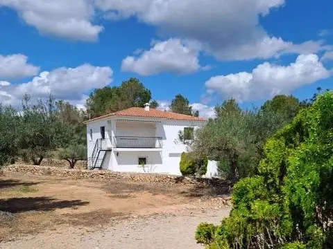 Finca rústica en Afueras del Pueblo