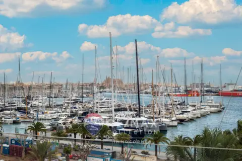 Piso en Avinguda de Gabriel Roca