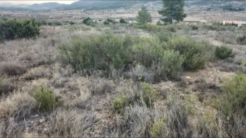 Terreno en El Algayat