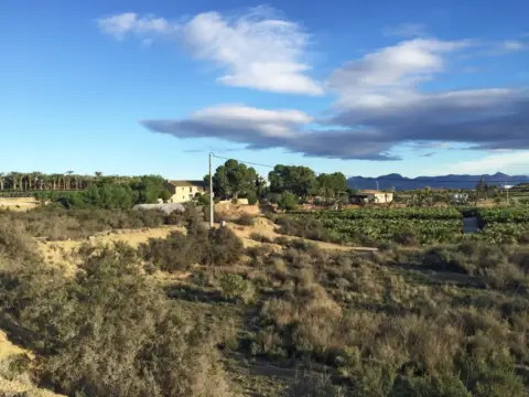 Terreno en Borisa