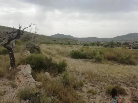 Terreno en La Solana