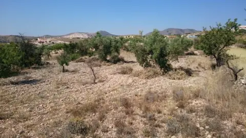Terreno en La Canalosa