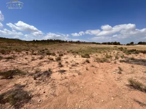 Terreno en Jumilla Rural