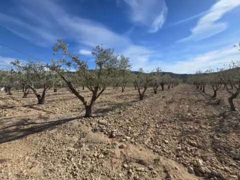 Terreno en La Cava