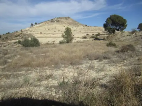 Terreno en Tolomo