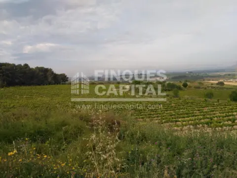 Terreno en Santa Margarida I Els Monjos