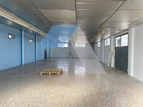 Nave industrial en Carrus