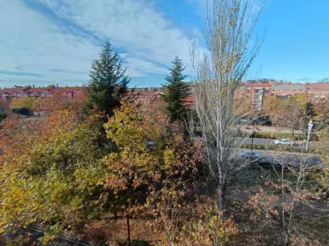 Piso en Paseo de Zorrilla