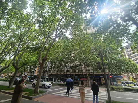 Piso en Paseo de Zorrilla