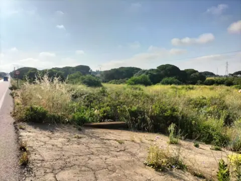 Terreno en Barrio Jarana
