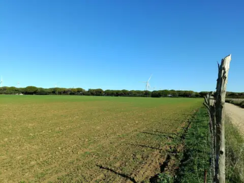 Finca rústica en Villanueva Golf