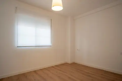 Piso en Avenida de los Reyes Católicos