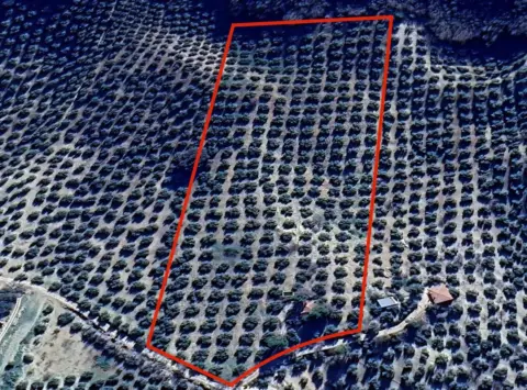 Terreno en Lugar del Cortijo Aguadero