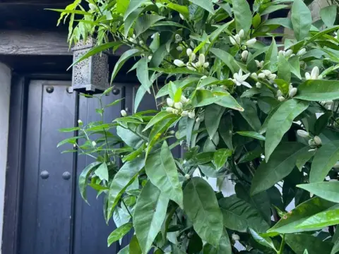 Casa en Cuesta de Vacares