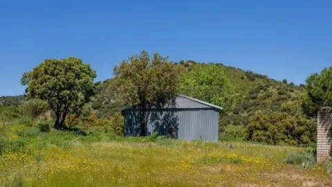 Finca rústica en calle Pino Alto Navarredonda