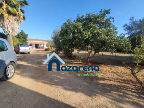Terreno en Carretera de Sevilla A Utrera