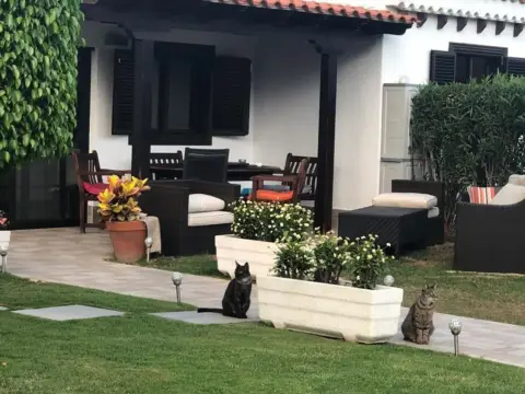 Chalet en Amarilla Golf