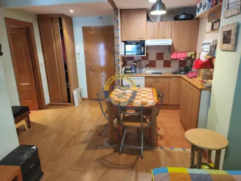 Apartment in Puebla de Lillo, San Isidro