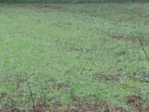 Finca rústica en Zona Poligono