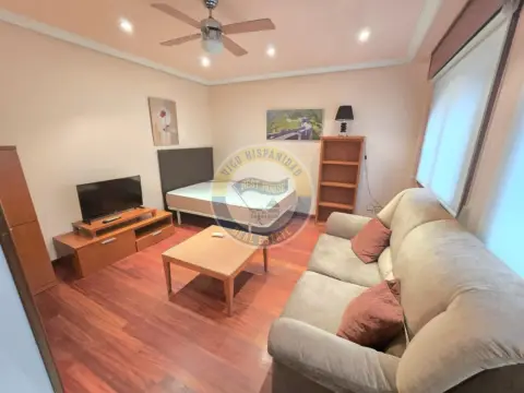 Estudio en Avenida de Castrelos