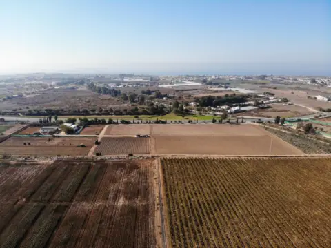 Finca rústica en calle La Ballena Poligono 9 Parcela 9