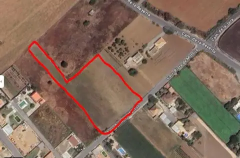 Terreno en Camino Pista de Montijo