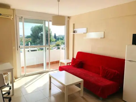 Estudio en Los Remedios