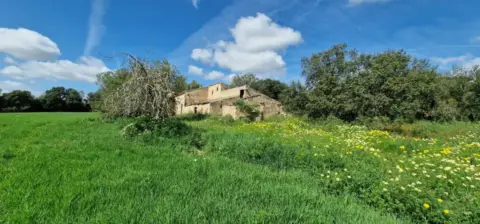 Finca rústica en Mallorca