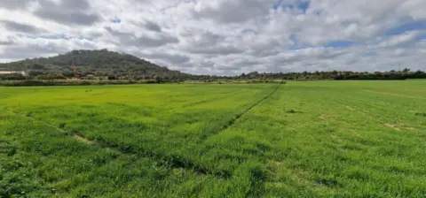 Terreno en Mallorca