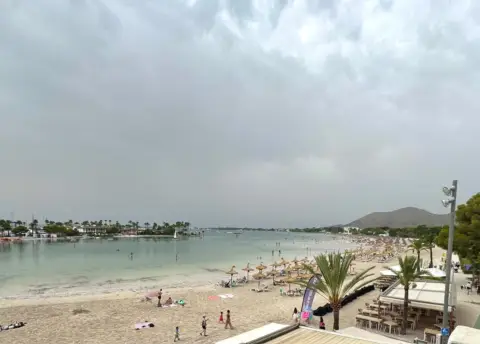 Estudio en Puerto de Alcudia