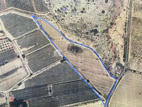 Terreno en La Serreta
