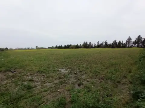 Terreno en Pinar de La Villa