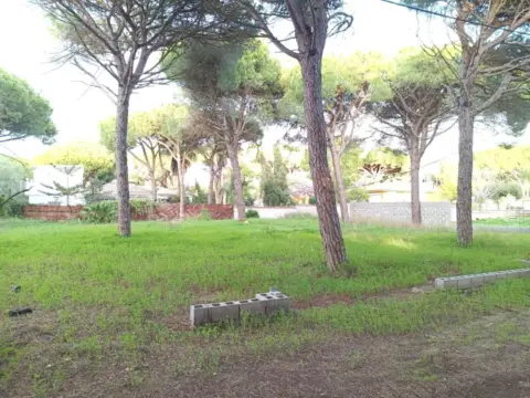 Terreno en calle del Eden