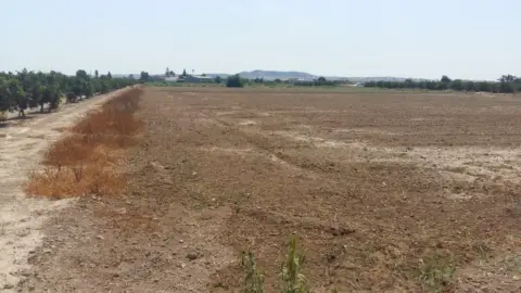 Finca rústica en Comunidad Valenciana
