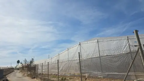 Finca rústica en Zona Pueblo