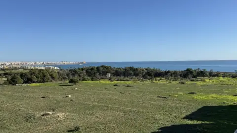Piso – Orihuela