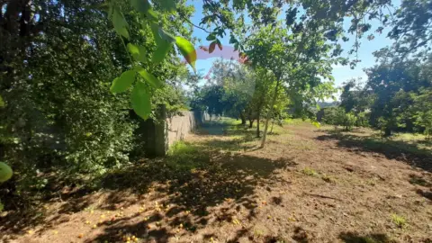 Terreno en Lugar de Seixeda